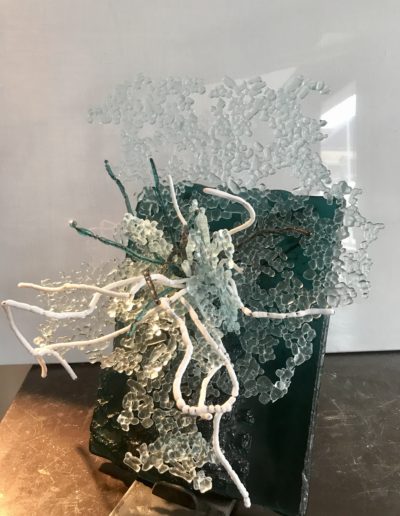 Nathalie Dumontier